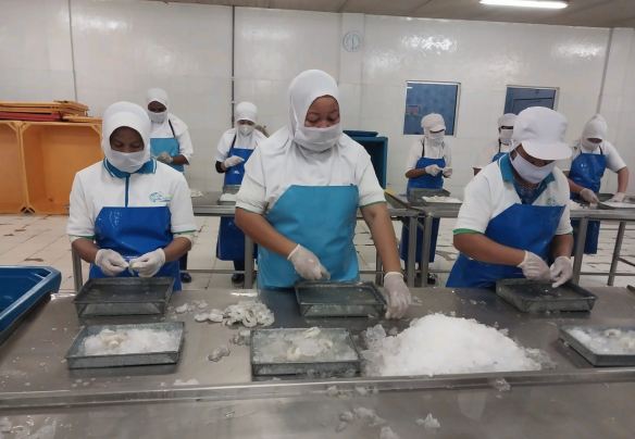 Seafood Processing