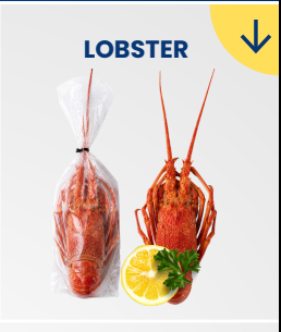 Lobster