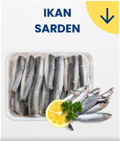 Sarden
